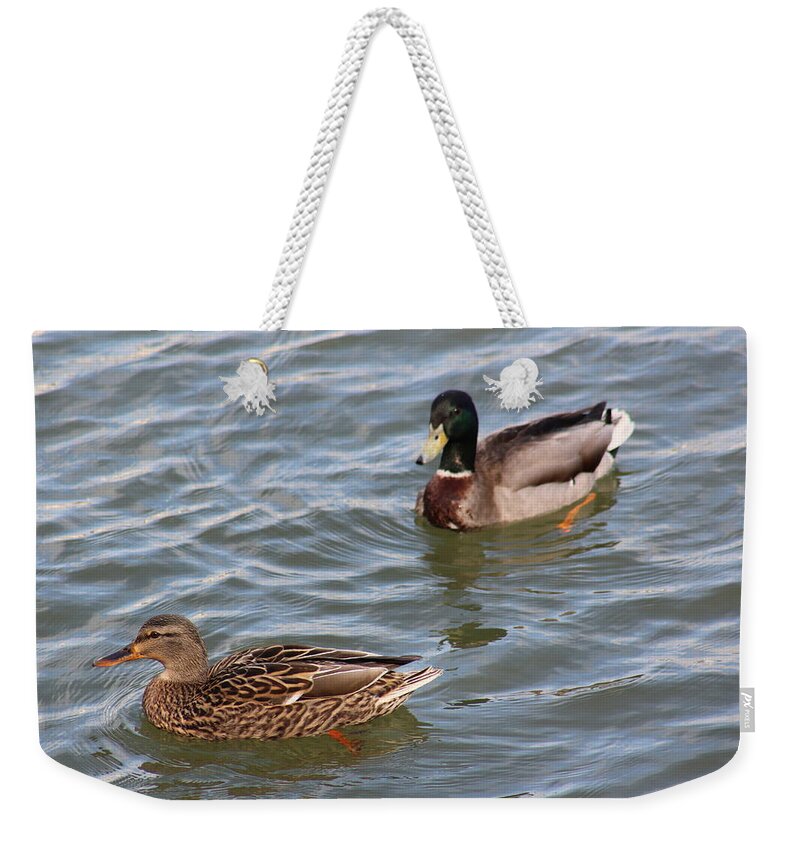 Wildlife River Duck Ducks Animal Waterfront Summer Oldtown Virginia Usa Bird Us America U.s.a States Black White Beige Green Water  Weekender Tote Bag featuring the digital art Ducks by the River by Jeanette Rode Dybdahl