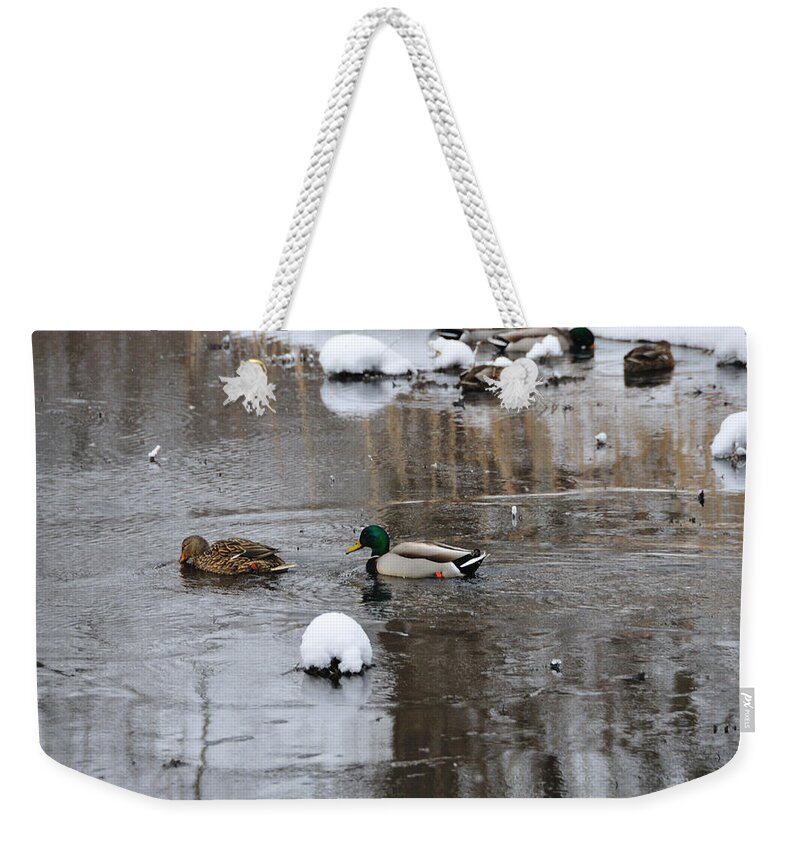 Ducks Weekender Tote Bag featuring the photograph Ducks in Winter by David Arment