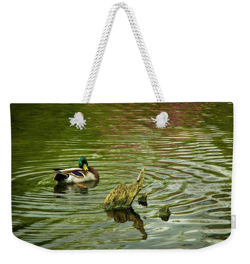 Photography Weekender Tote Bag featuring the photograph Ducks Life by Steven Clark
