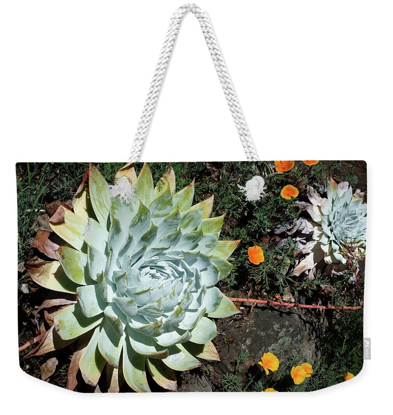 Dudleya Weekender Tote Bag featuring the photograph Dudleya and California Puppy by Catherine Lau
