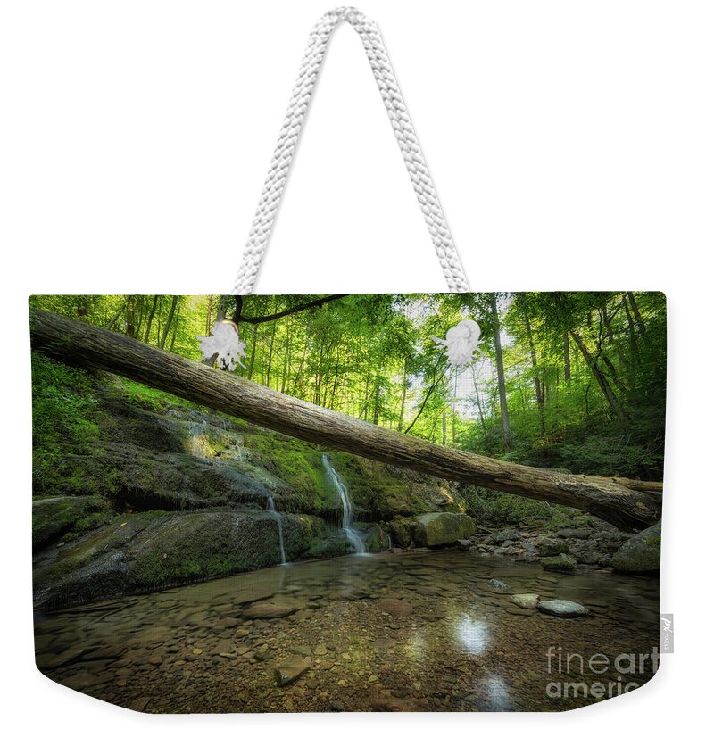 Dunnfield Creek Weekender Tote Bag featuring the photograph Dunnfield Creek by Michael Ver Sprill
