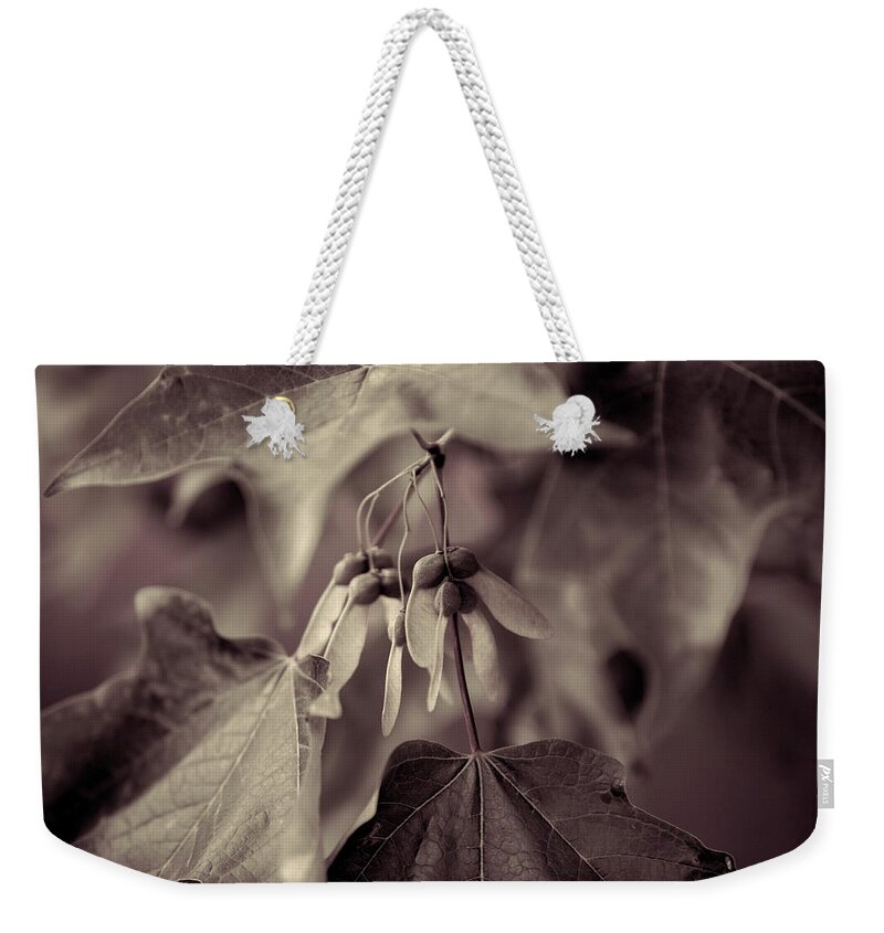 Maple. Leaves Weekender Tote Bag featuring the photograph DuoTone Maple by Steve Gravano