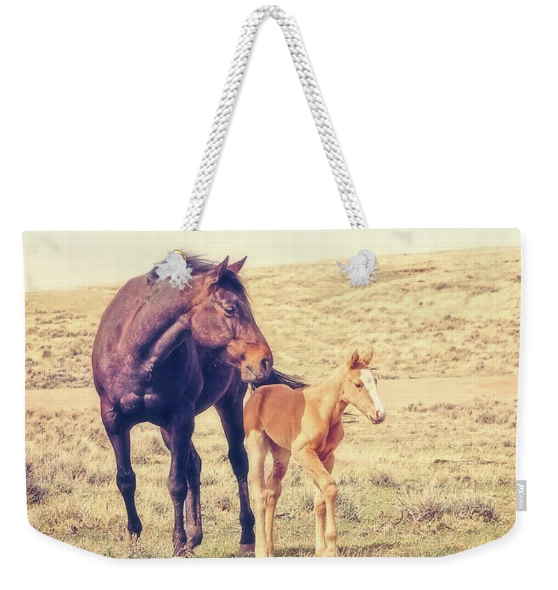 Horse Weekender Tote Bag featuring the photograph Dusty Rose by Amanda Smith
