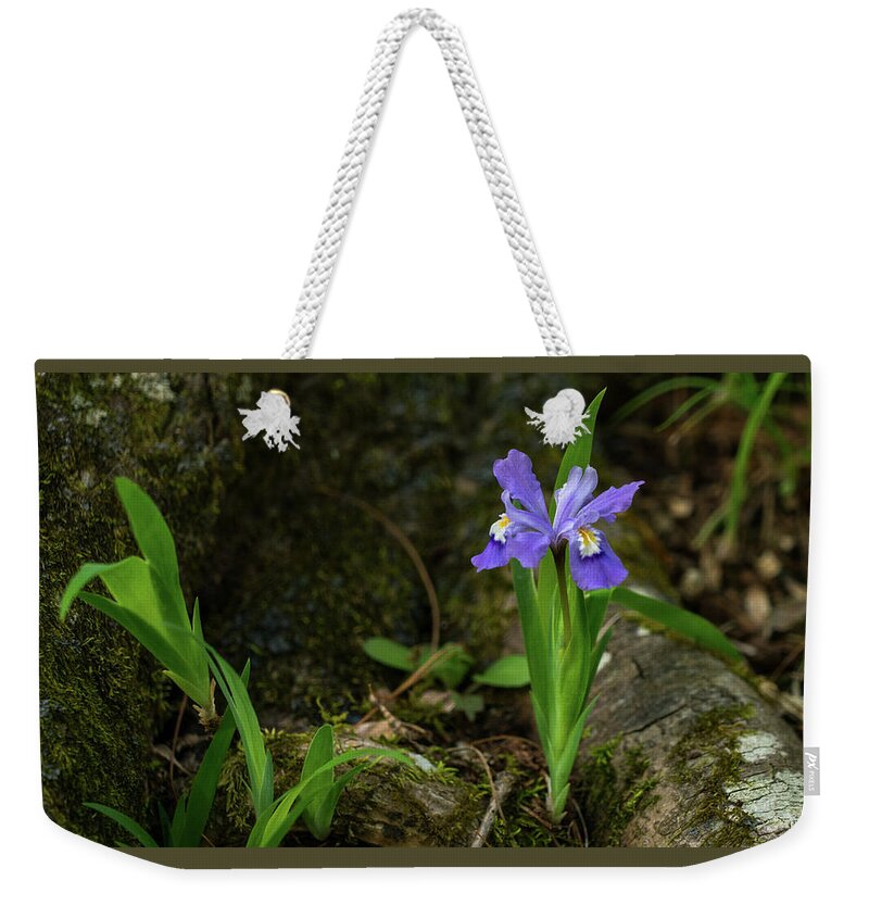 Georgia Weekender Tote Bag featuring the photograph Dwarf Crested Iris North Georgia Mountains by Lawrence S Richardson Jr