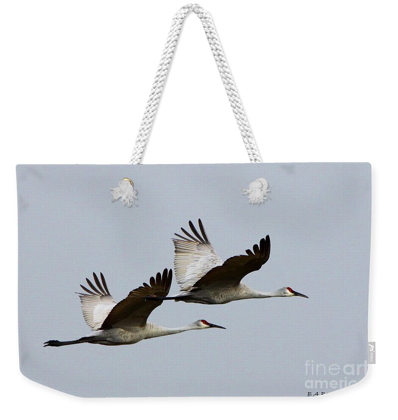 Sandhill Crane Weekender Tote Bag featuring the photograph Dynamic Duo by Barbara Bowen