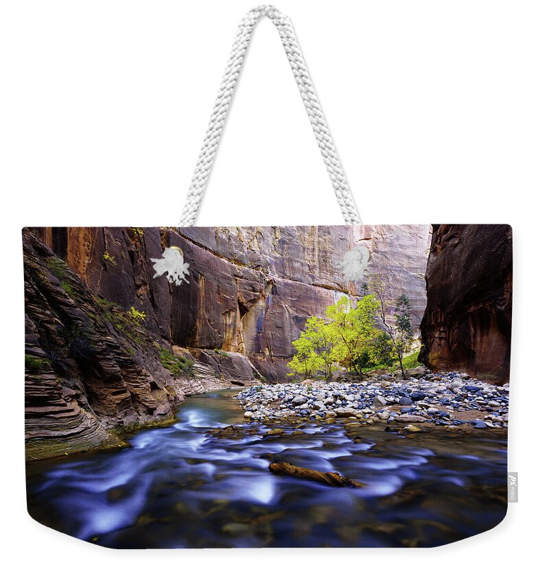 Dynamic Zion Weekender Tote Bag featuring the photograph Dynamic Zion by Chad Dutson
