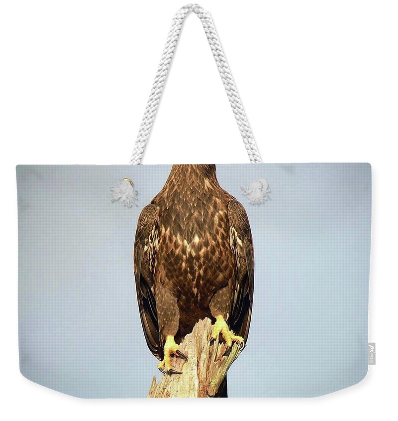 Bald Eagle Weekender Tote Bag featuring the photograph E9 just beautiful by Liz Grindstaff