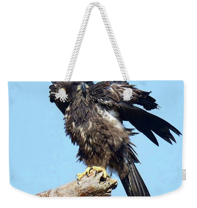 Birds Weekender Tote Bag featuring the photograph E9 shaking by Liz Grindstaff