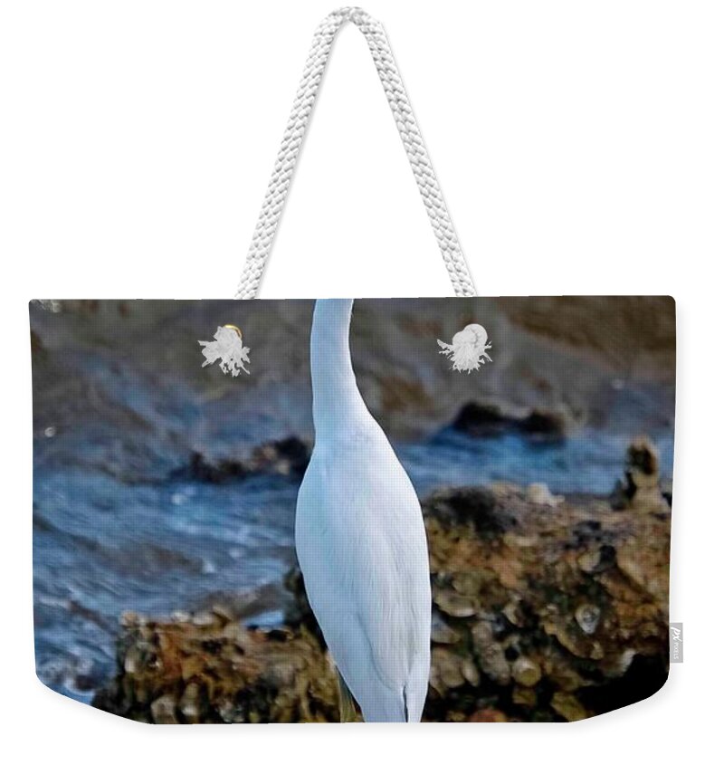 Egret Weekender Tote Bag featuring the photograph Eager Egret by DigiArt Diaries by Vicky B Fuller