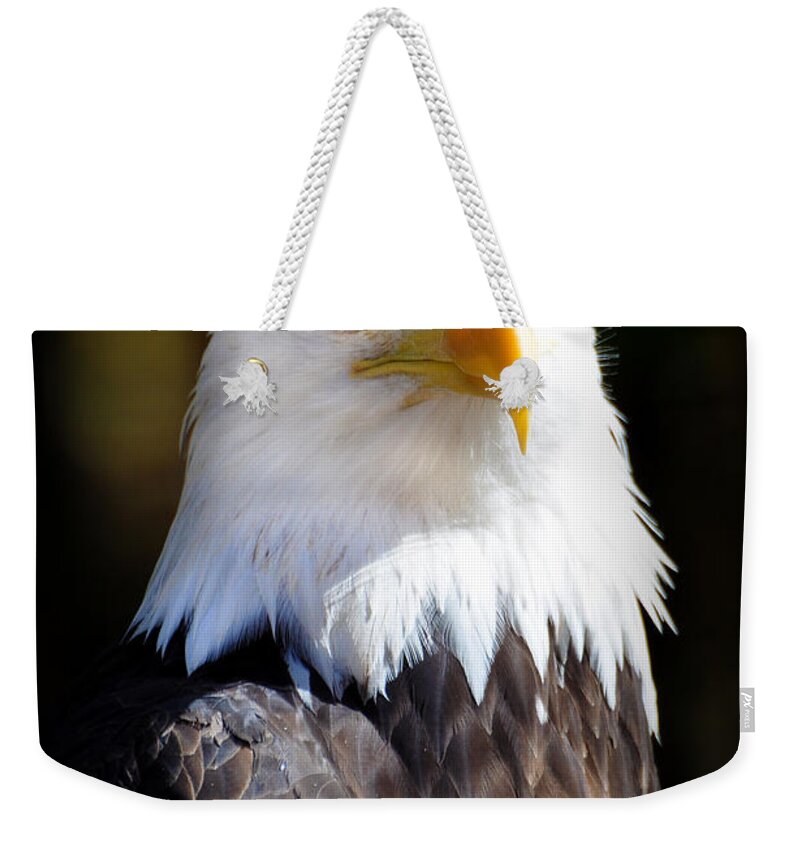 Eagle Weekender Tote Bag featuring the photograph Eagle 14 by Marty Koch