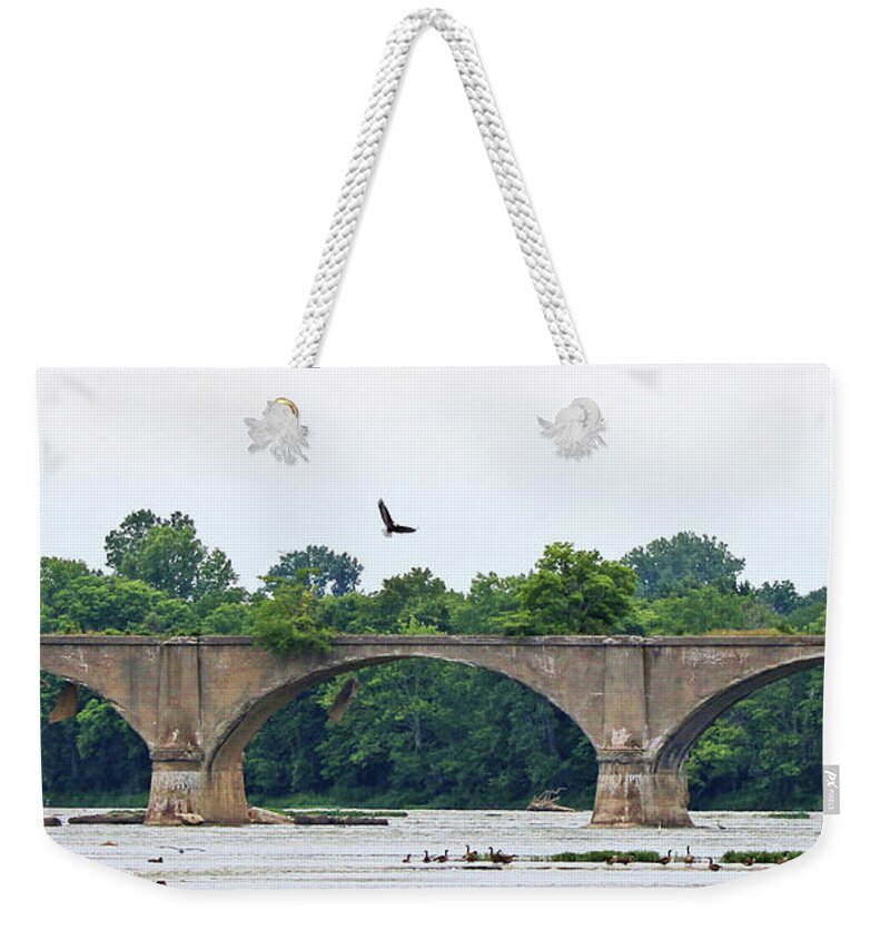 Bald Eagle Weekender Tote Bag featuring the photograph Eagle Above Interurban Bridge 2186 by Jack Schultz