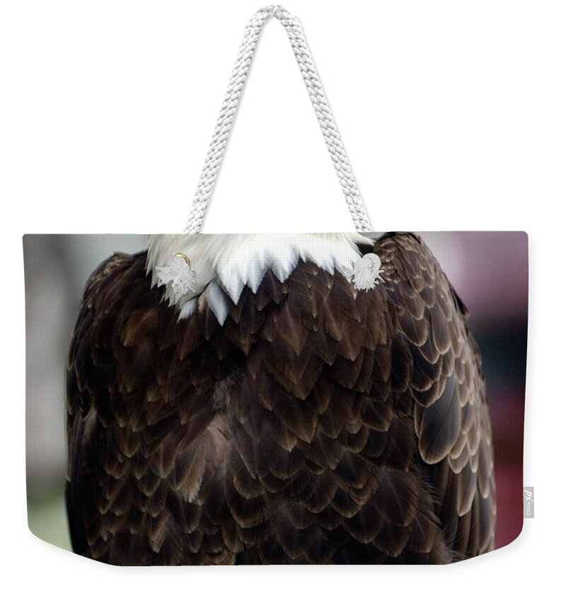 Eagle Weekender Tote Bag featuring the photograph Eagle by Doug Gibbons