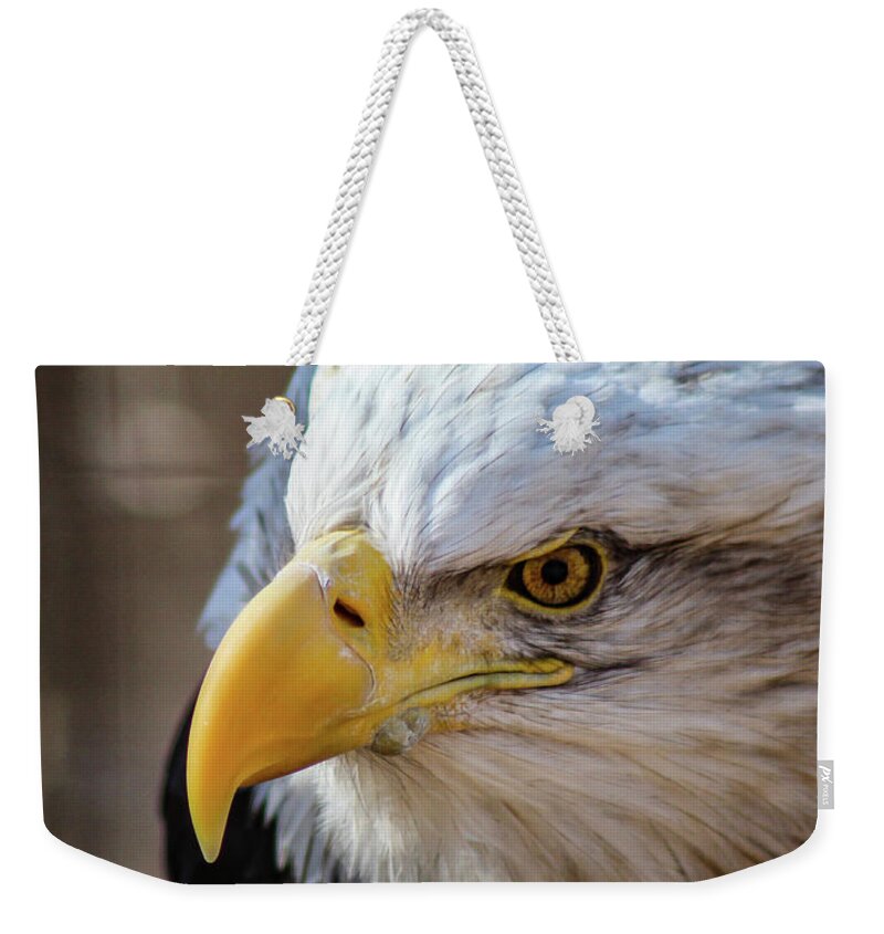 Bald Eagle Weekender Tote Bag featuring the photograph Eagle Eye by Holly Ross