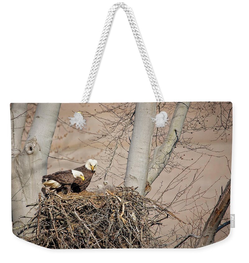 Eagle Weekender Tote Bag featuring the photograph Eagle Family Portrait by Deborah Penland