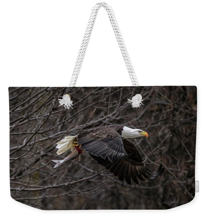 Bald Eagle Weekender Tote Bag featuring the photograph Eagle Fisher by Ray Congrove