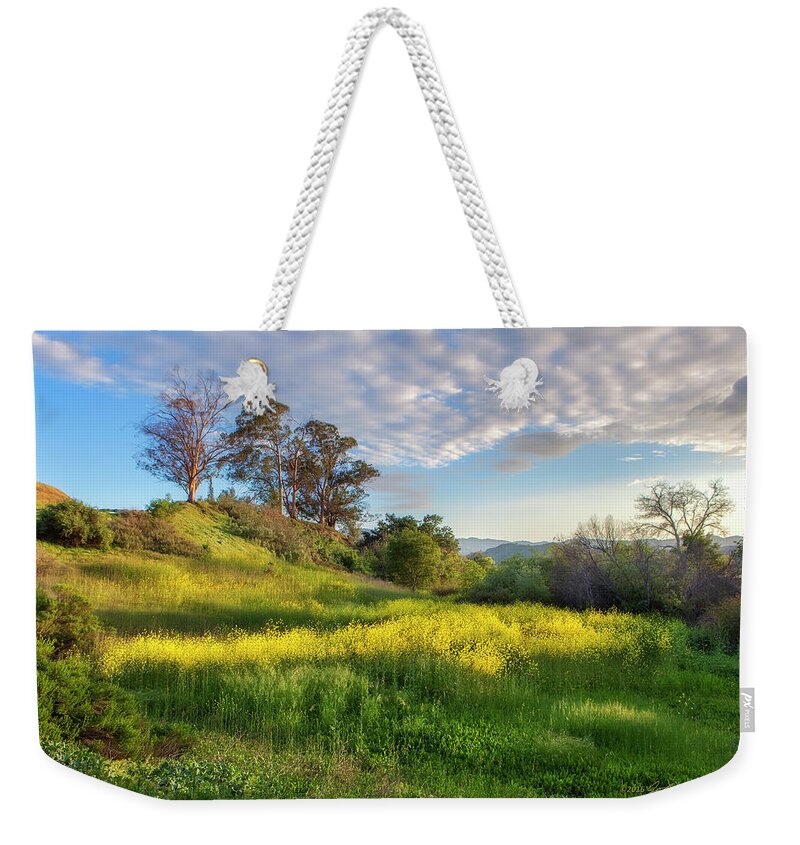 Landscape Weekender Tote Bag featuring the photograph Eagle Grove at Lake Casitas in Ventura County, California by John A Rodriguez