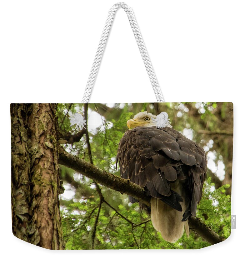 Alaska Weekender Tote Bag featuring the photograph Eagle in Sitka, Alaska by Roberta Kayne