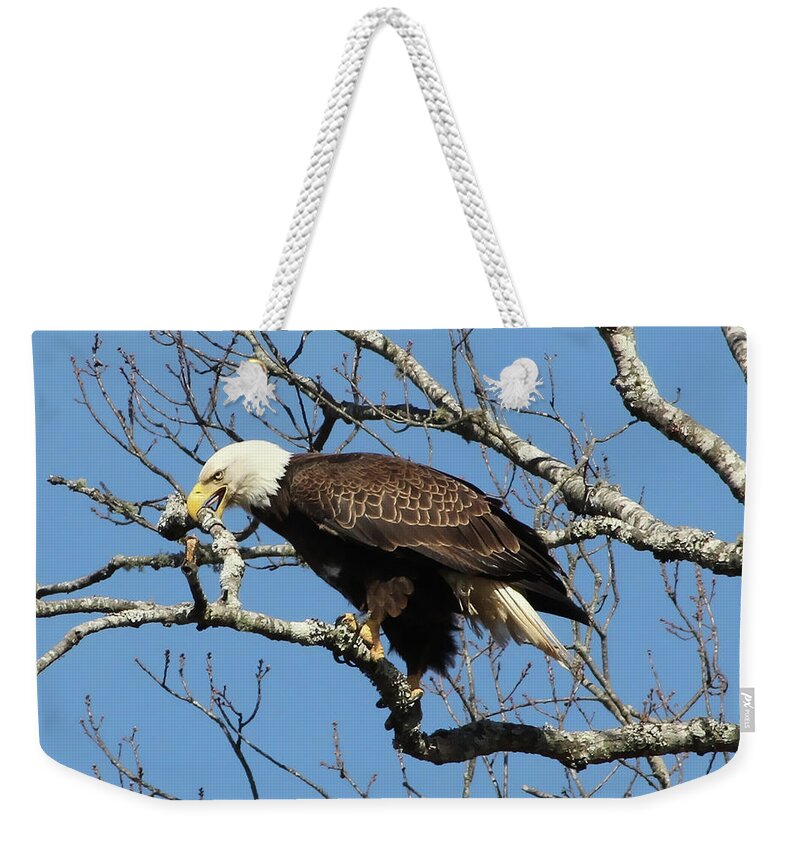 Eagle Weekender Tote Bag featuring the photograph Eagle Nest Building by TnBackroadsPhotos