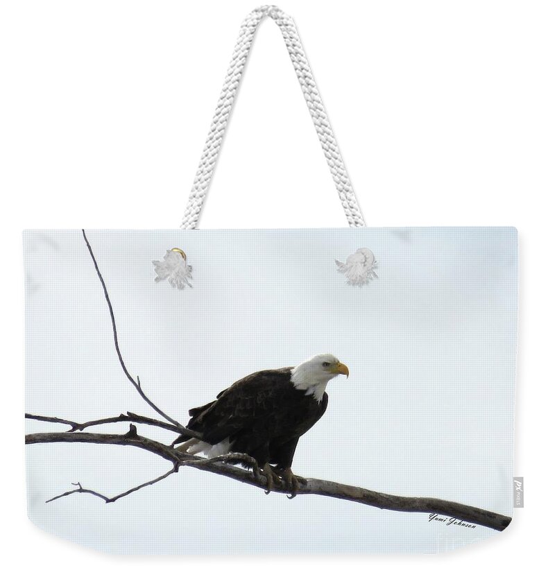 Eagle Weekender Tote Bag featuring the photograph Eagle on the Tree Branch by Yumi Johnson