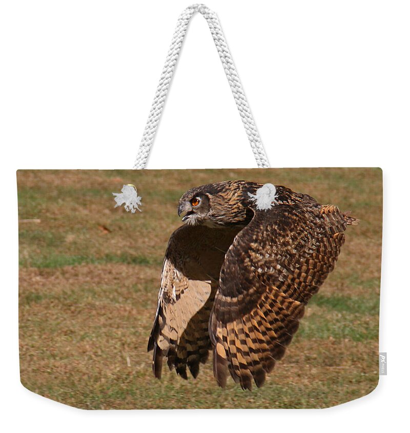 Wildlife Weekender Tote Bag featuring the photograph Eagle Owl On the Hunt 2 by William Selander