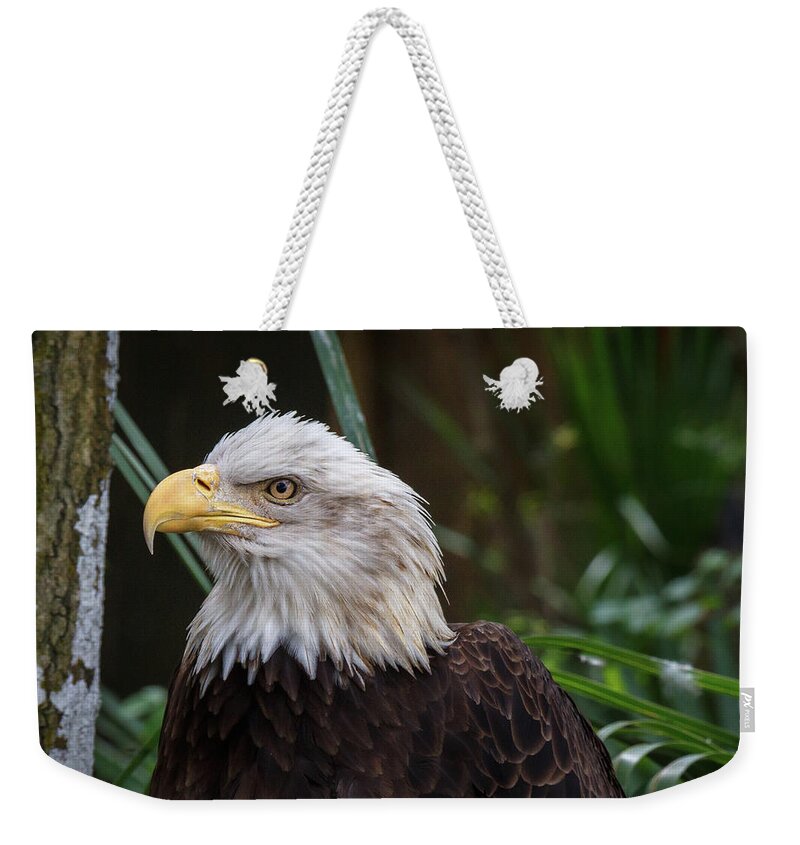 Eagle Weekender Tote Bag featuring the photograph Eagle Portrait by Les Greenwood