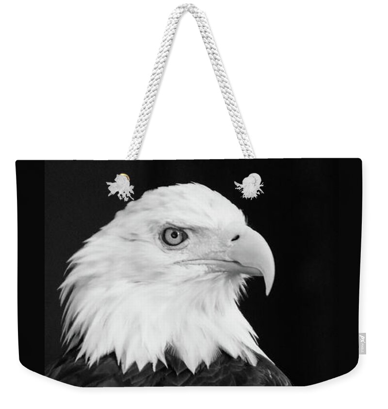  Weekender Tote Bag featuring the photograph Eagle Portrait Special by Coby Cooper