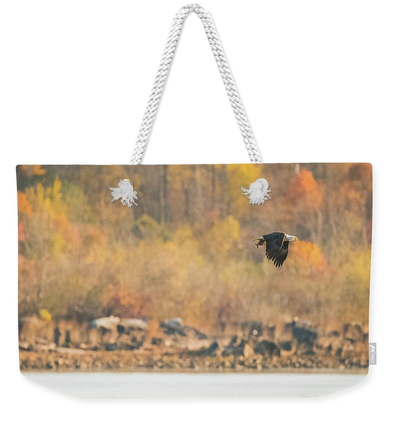 11 November 2016 Weekender Tote Bag featuring the photograph Eagle with Fish and Foliage by Jeff at JSJ Photography