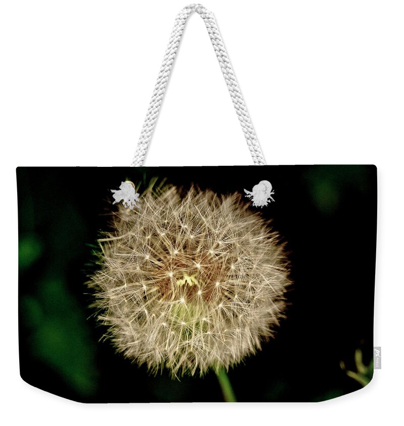 Dandelion Weekender Tote Bag featuring the photograph Early in the morning. by Elena Perelman