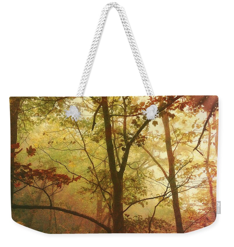 Early Morning Mist Weekender Tote Bag featuring the photograph Early Morning Mist by Bellesouth Studio