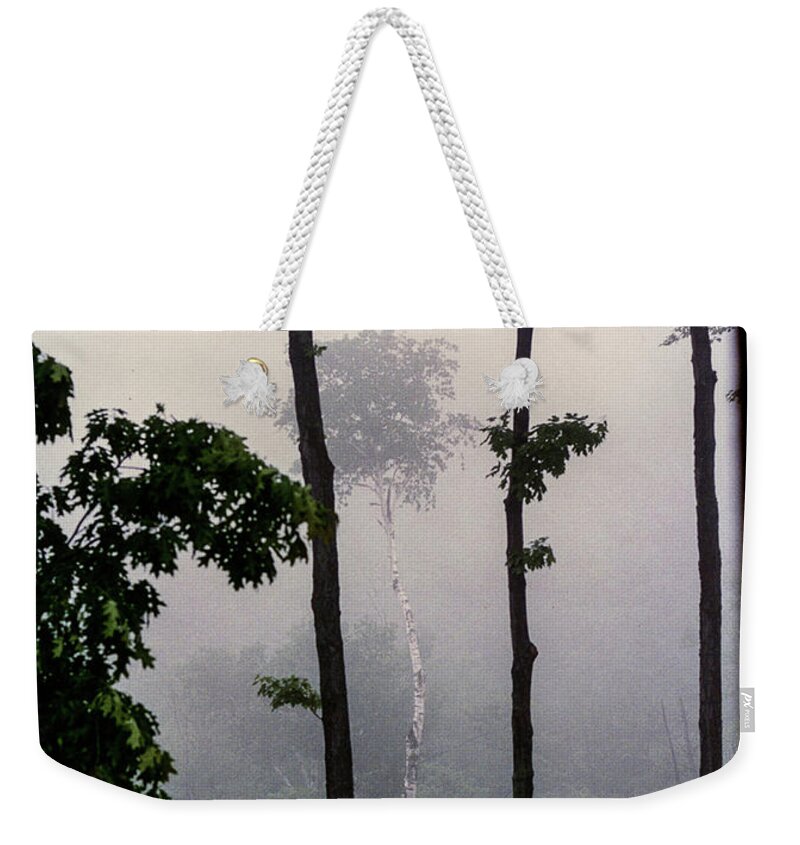  Weekender Tote Bag featuring the photograph Early Morning Mist by Rick Redman