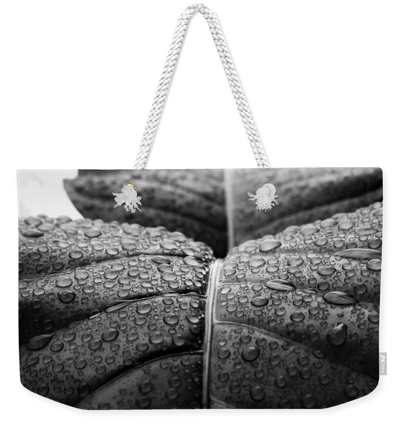 Rain Weekender Tote Bag featuring the photograph Early Morning Rain by Heidi Fickinger