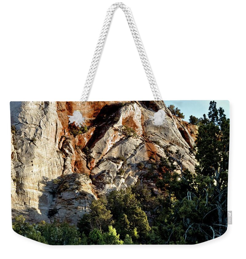 Zion Weekender Tote Bag featuring the photograph Early Morning Zion by Christopher Holmes