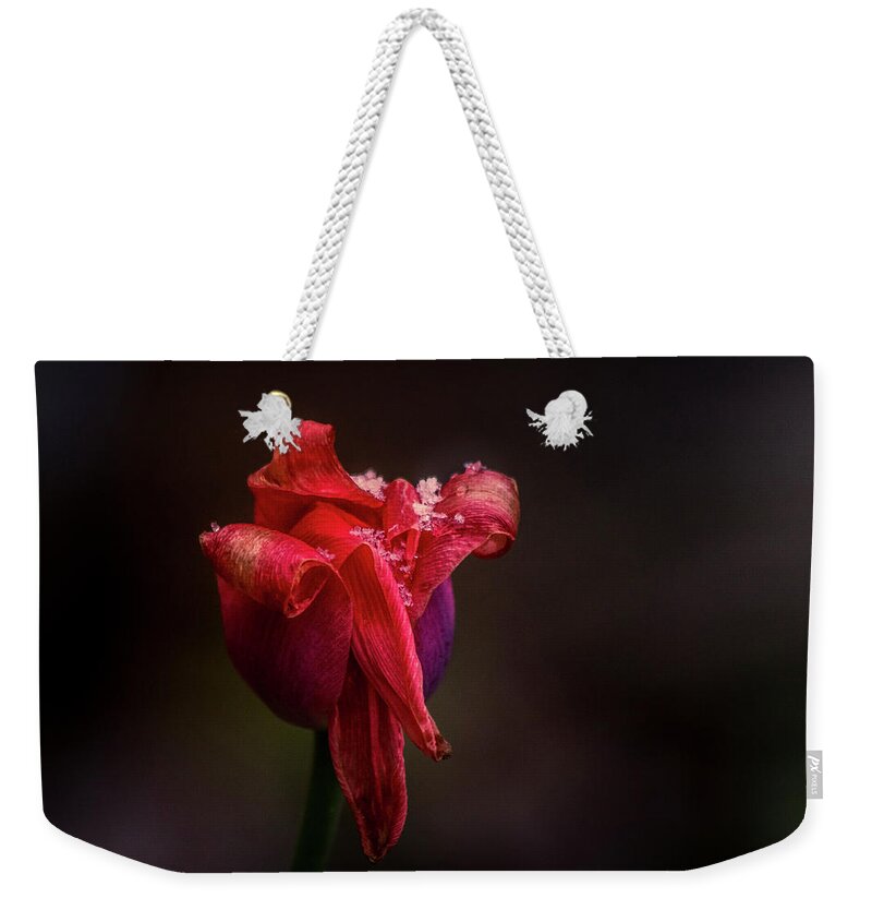Red Weekender Tote Bag featuring the photograph Early Spring by Allin Sorenson