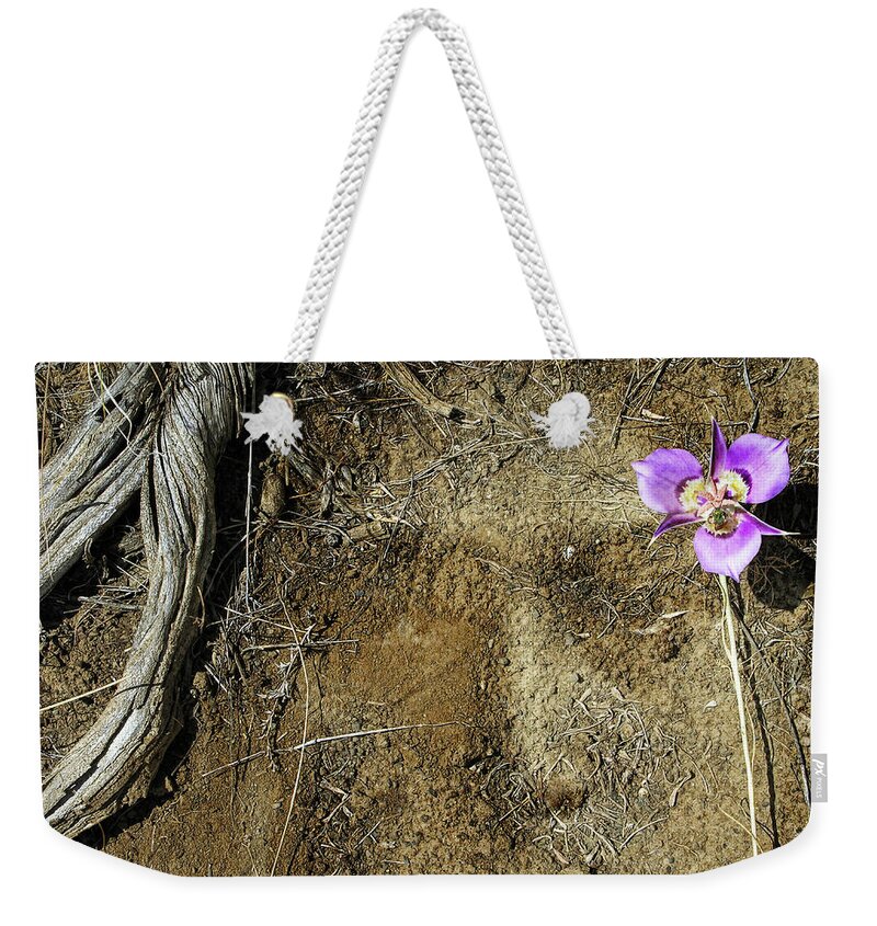 Mother Earth Weekender Tote Bag featuring the photograph Earth Memories-Desert Flower # 1 by Ed Hall