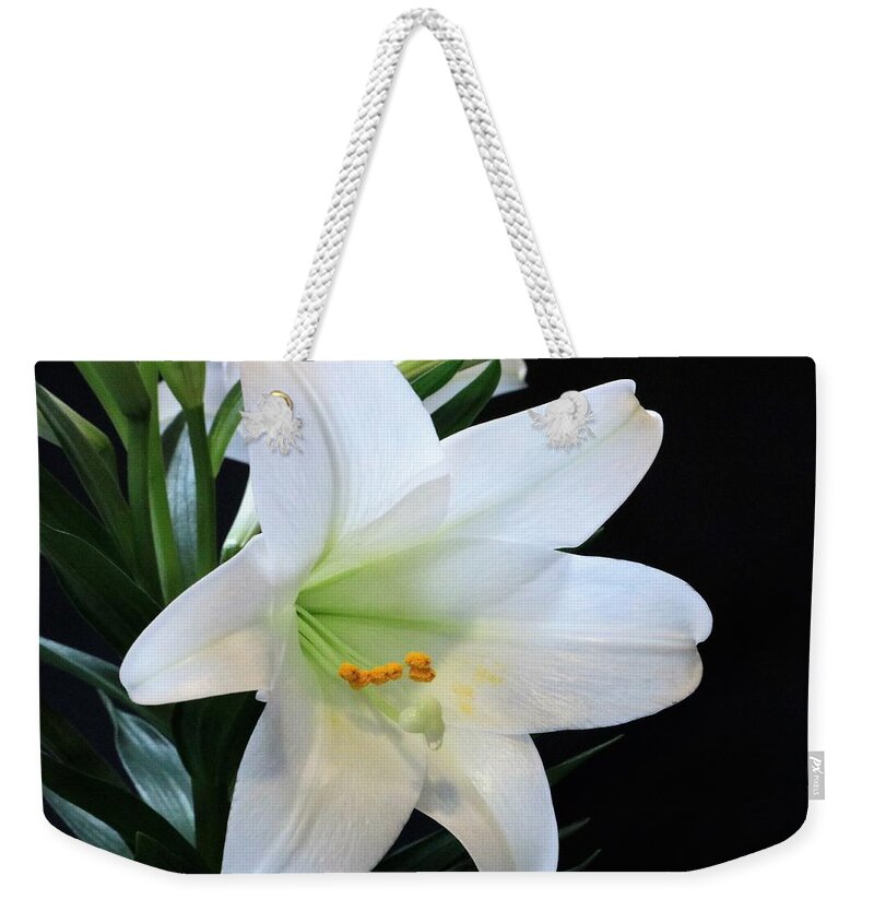 Nature Weekender Tote Bag featuring the photograph Easter Lily on Black by Sheila Brown