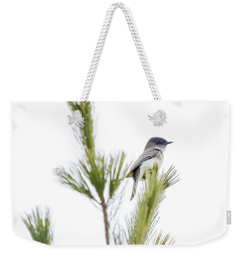 Cheryl Baxter Photography Weekender Tote Bag featuring the photograph Eastern Phoebe by Cheryl Baxter