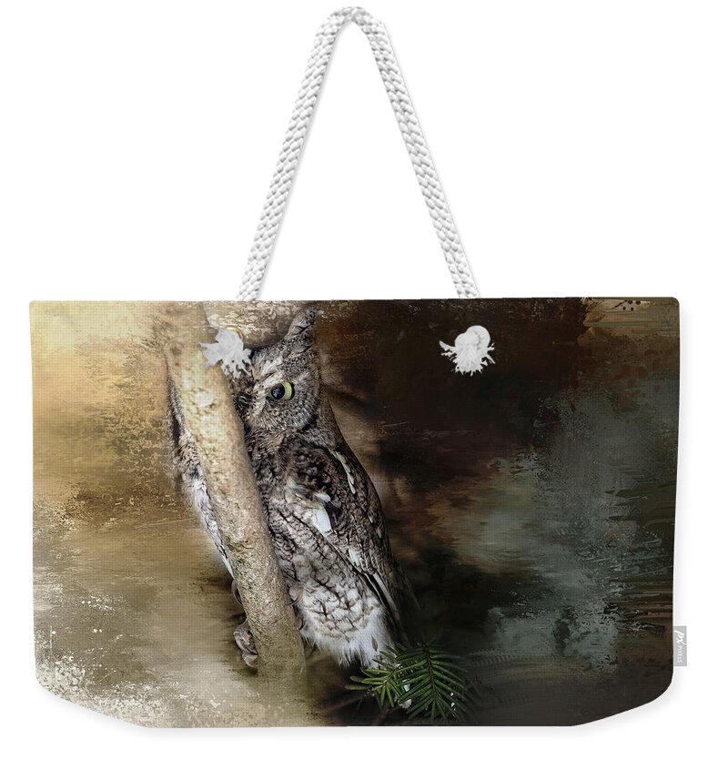 Raptor Weekender Tote Bag featuring the photograph Eastern Screech Owl Plays Peek a Boo by Eleanor Abramson