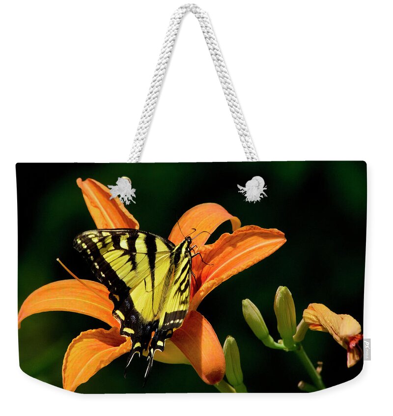 Butterfly Weekender Tote Bag featuring the photograph Swallowtail Butterfly On Orange Lily by Christina Rollo