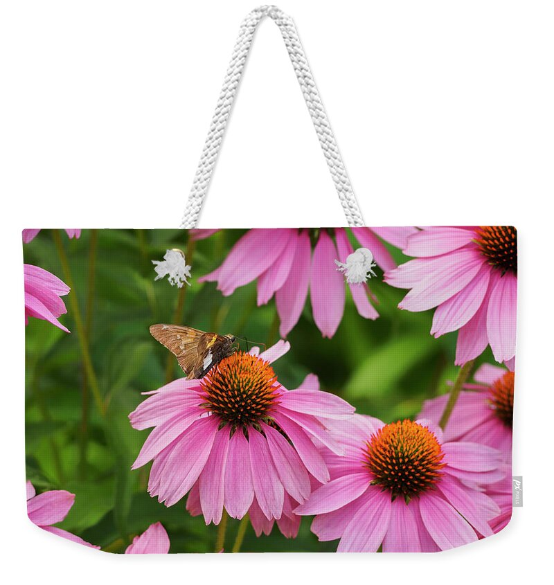 Valentines Day Weekender Tote Bag featuring the photograph Echinacea in Bloom by Marianne Campolongo