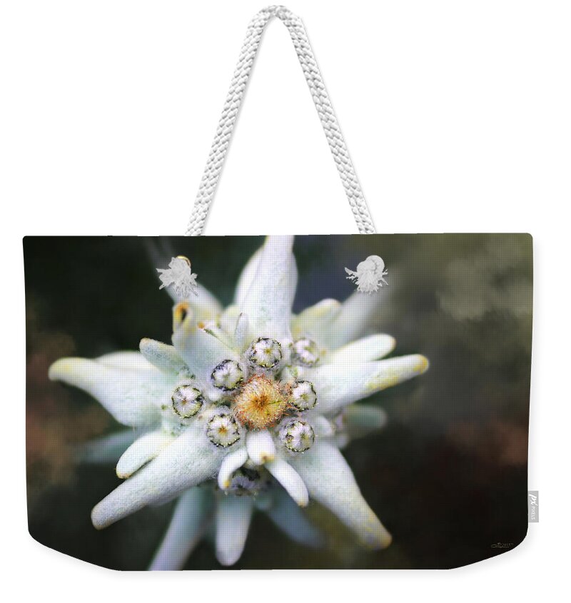 Photo Weekender Tote Bag featuring the photograph Edelweiss by Jutta Maria Pusl