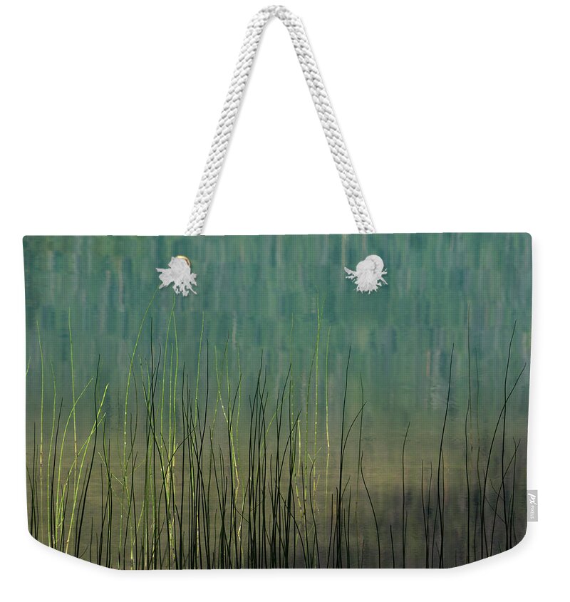 Lake Weekender Tote Bag featuring the photograph Edge of the Lake - 365-262 by Inge Riis McDonald