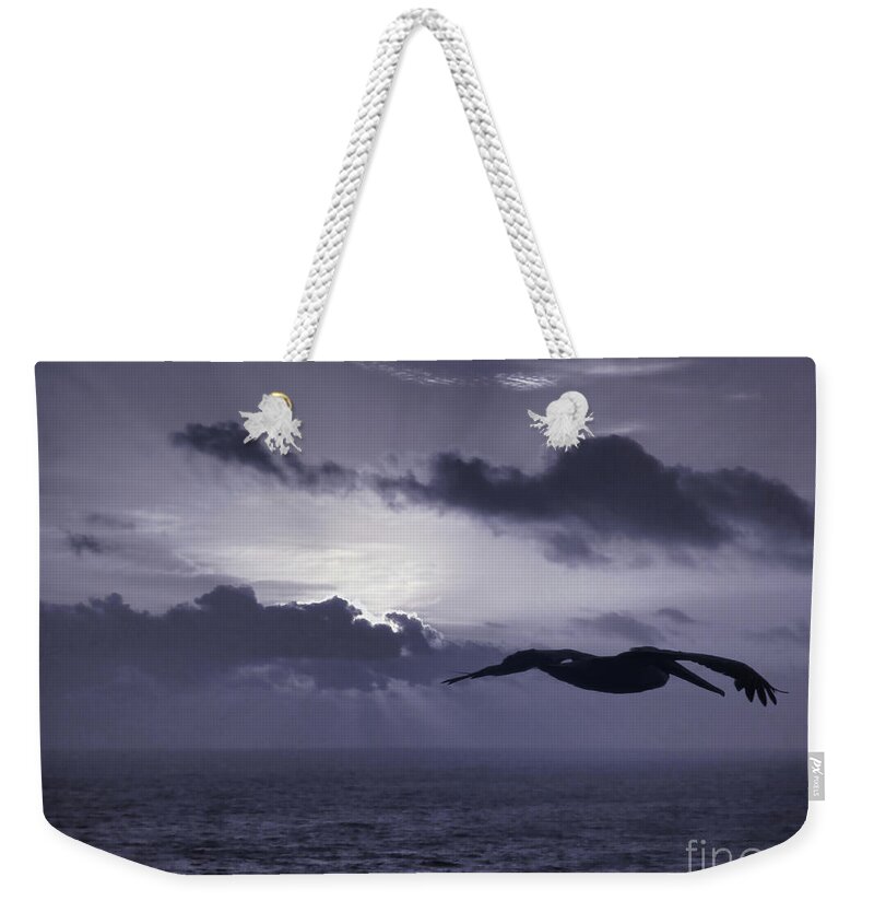 Sunrise Weekender Tote Bag featuring the photograph Pelican At Sunrise by Jeff Breiman