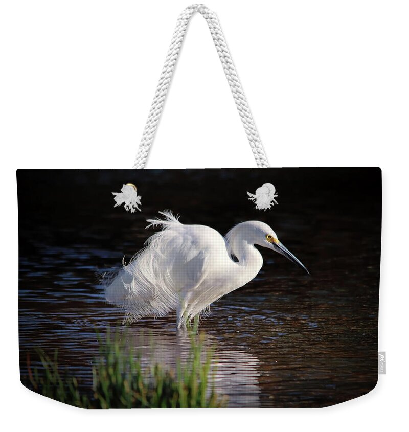 Wild Birds Weekender Tote Bag featuring the photograph Egret by Elaine Malott