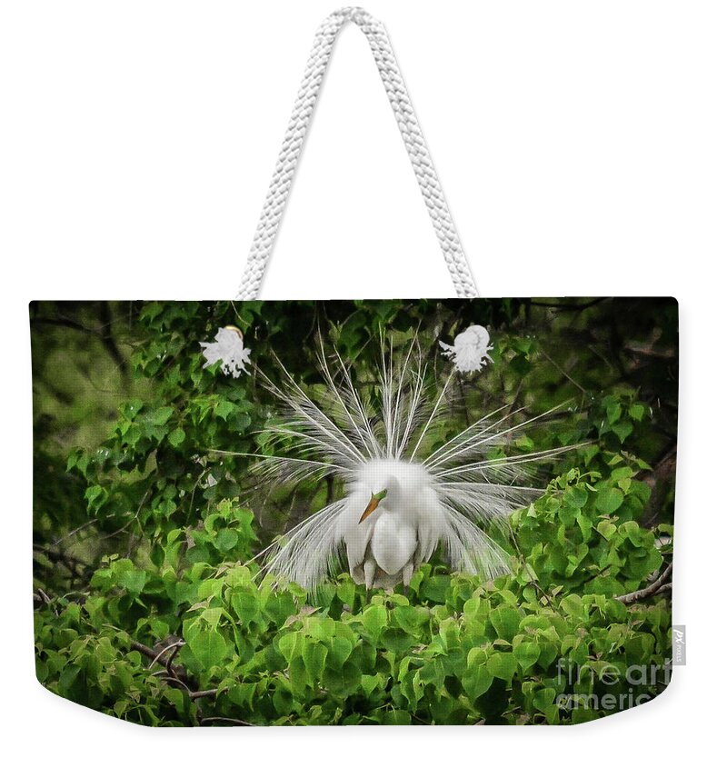 Egret Weekender Tote Bag featuring the photograph Egret fanning by Barry Bohn