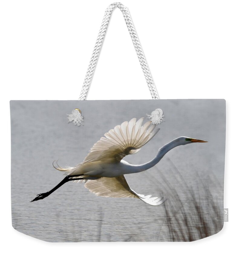  Weekender Tote Bag featuring the photograph Egret in Flight by Ann Bridges