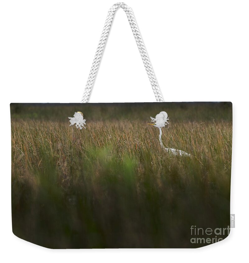 Loxahatchee Weekender Tote Bag featuring the photograph Egret in Swamp-1-0711 by Steve Somerville