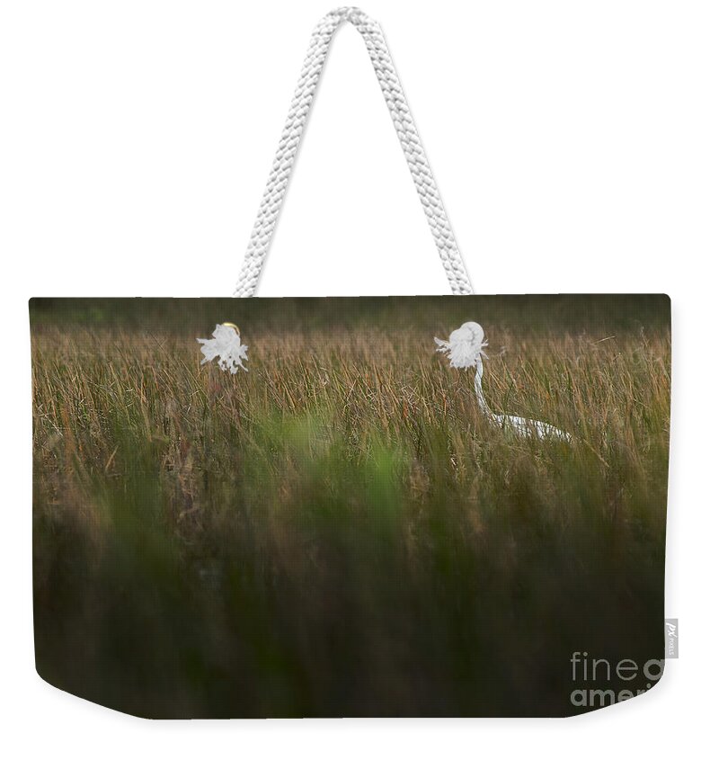 Loxahatchee Weekender Tote Bag featuring the photograph Egret in Swamp-3-0711 by Steve Somerville