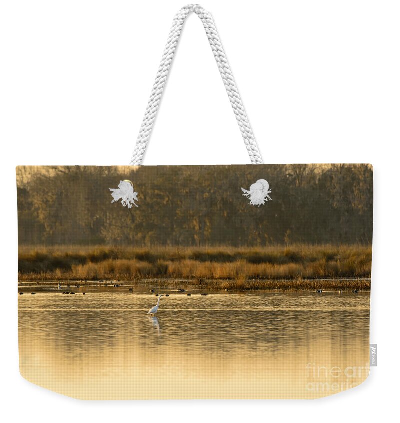 White Weekender Tote Bag featuring the photograph Egret in the Low Country by Chip Laughton