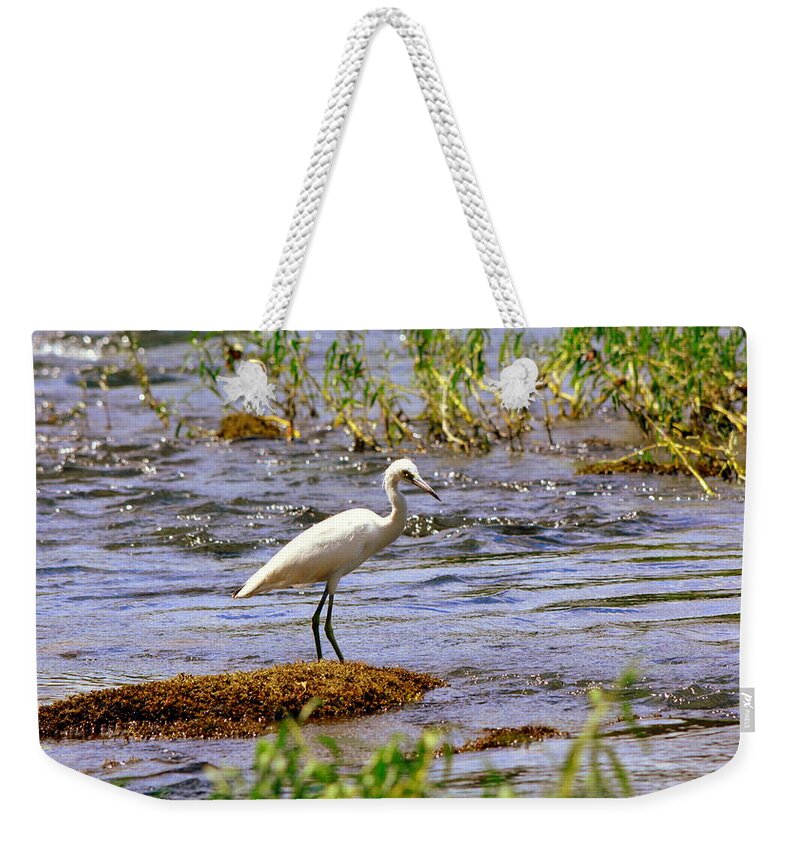 Egret On A Rock Weekender Tote Bag featuring the photograph Egret On A Rock by Lisa Wooten
