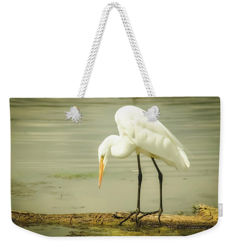 Egret Weekender Tote Bag featuring the photograph Egret Portrait by Karl Anderson